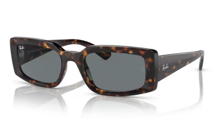 Ray Ban Unisex Γυαλιά Ηλίου RB4395