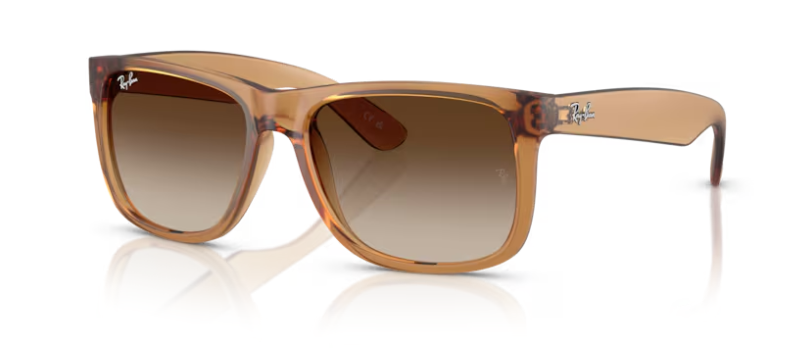 Ray Ban Unisex Γυαλιά Ηλίου RB4165