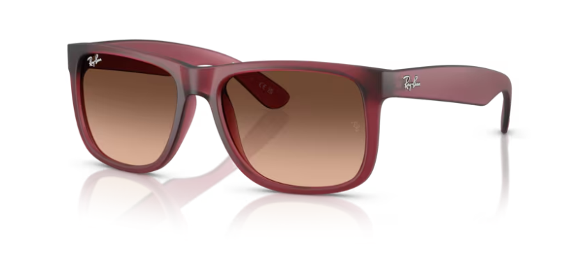Ray Ban Unisex Γυαλιά Ηλίου RB4165