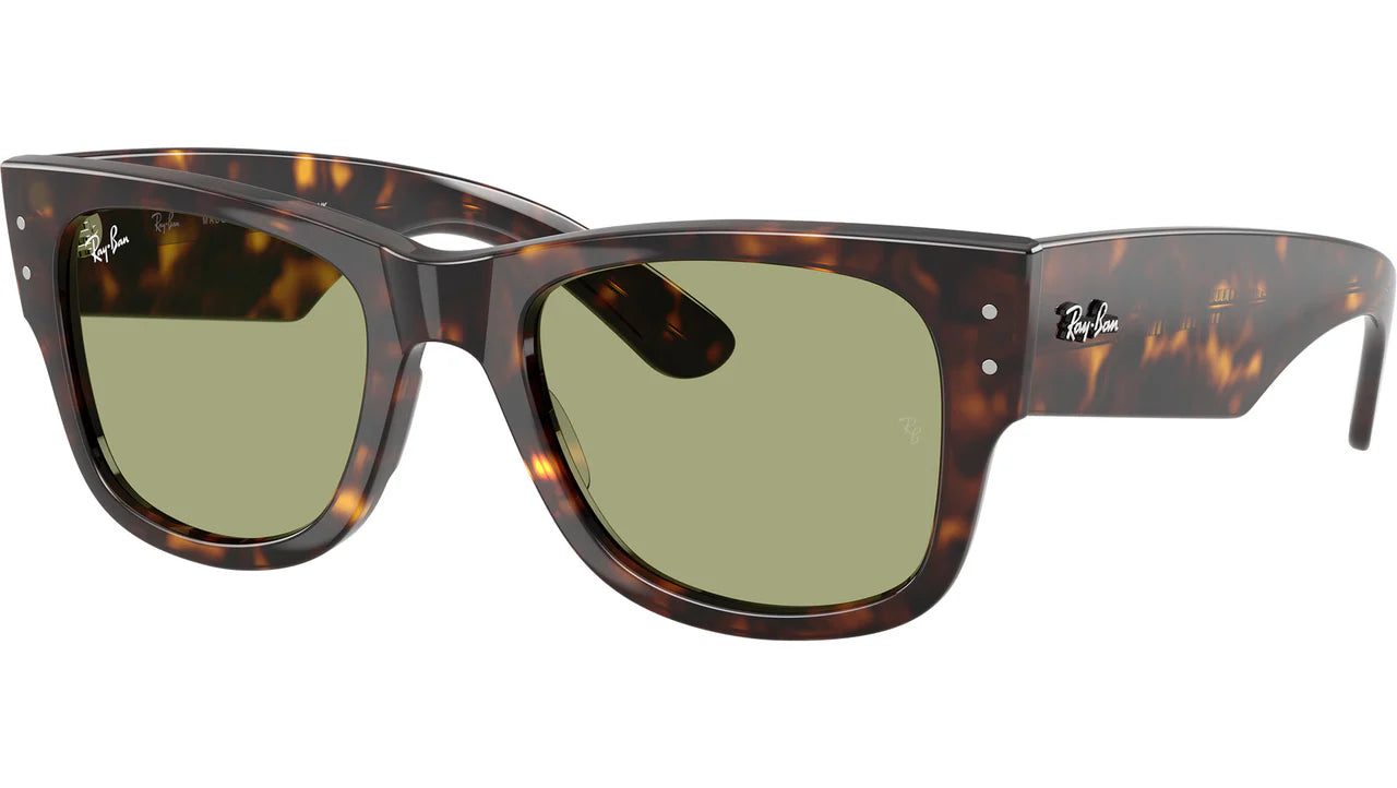 Ray Ban Unisex Γυαλιά Ηλίου RB0840S