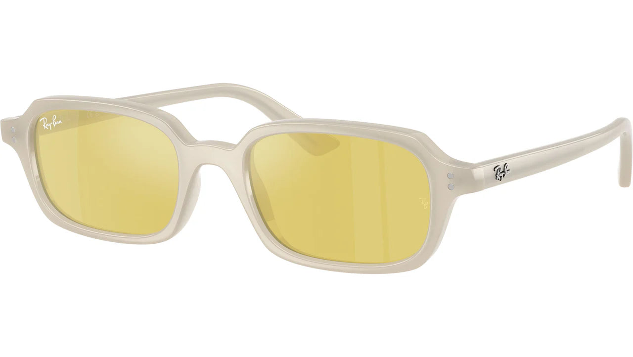 Ray Ban Unisex Γυαλιά Ηλίου RB 4455