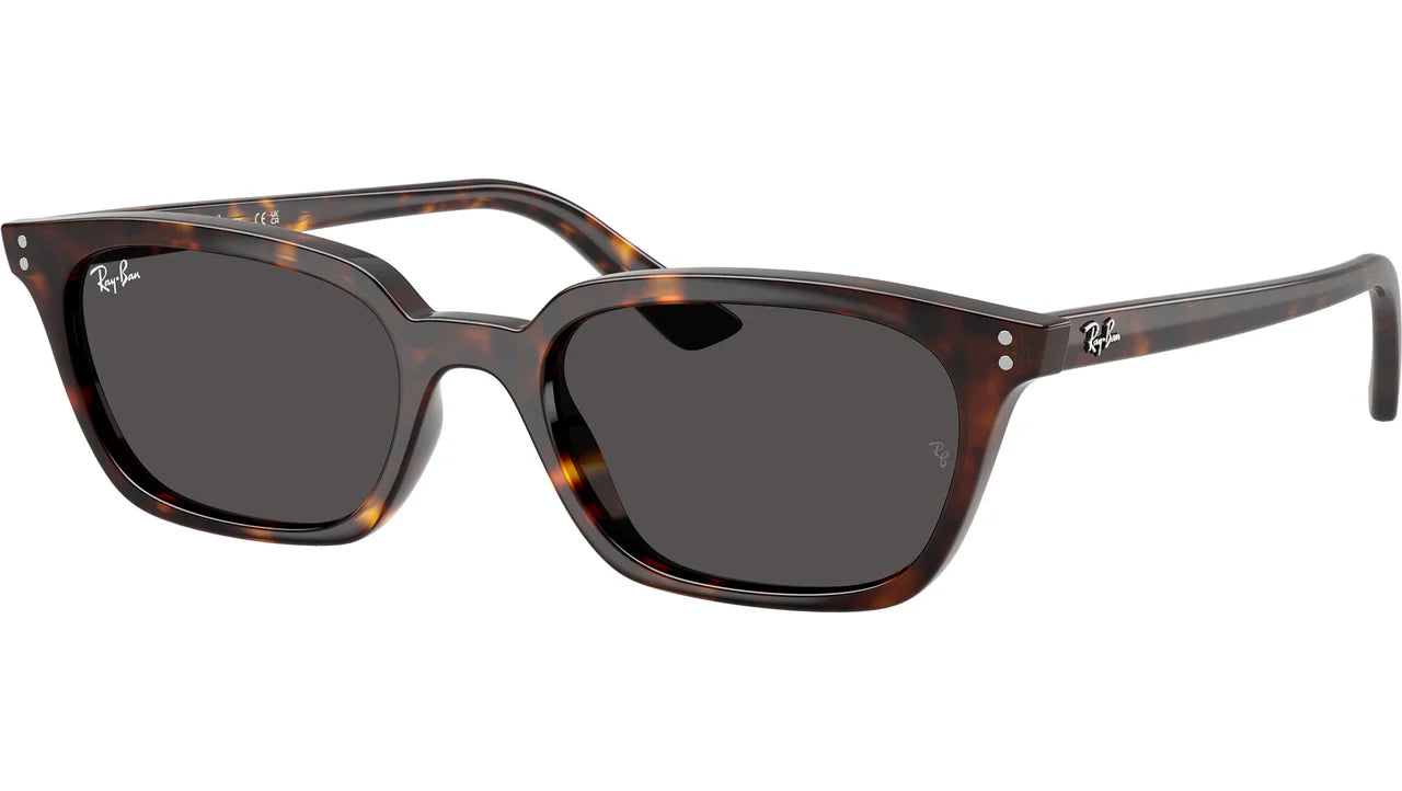 Ray Ban Γυναικεία Γυαλιά Ηλίου RB 4456