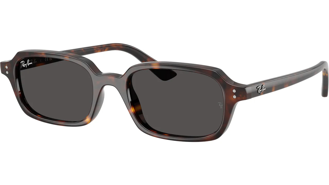Ray Ban Unisex Γυαλιά Ηλίου RB 4455