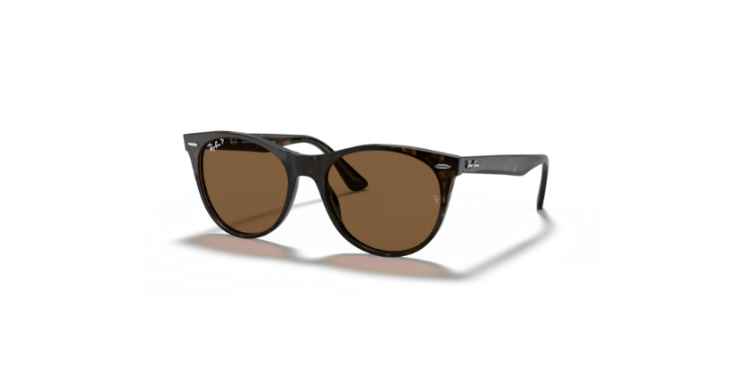 Ray Ban Unisex Γυαλιά Ηλίου RB2185