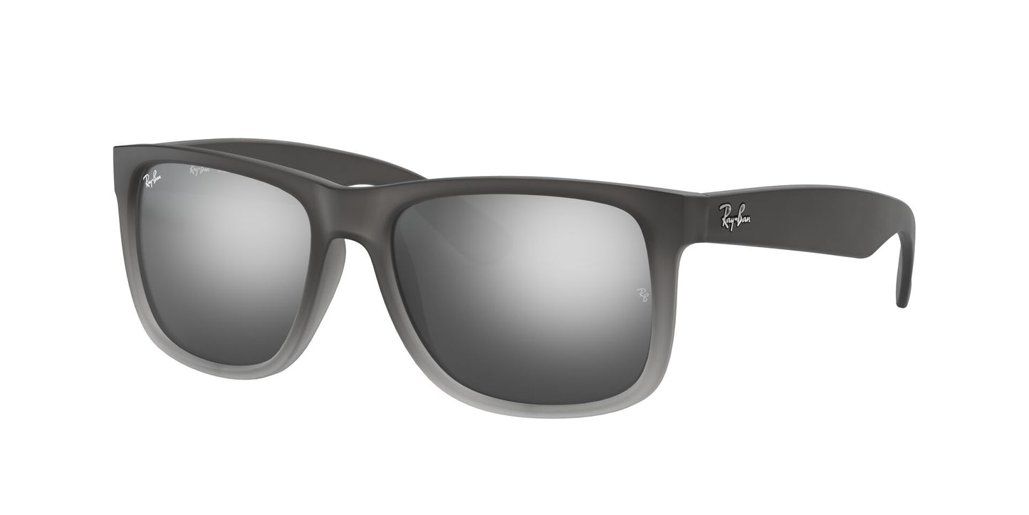 Ray Ban Unisex Γυαλιά Ηλίου RB4165